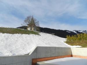 LauenenにあるApartment Mutthorn by Interhomeの雪山 屋根付き坂道