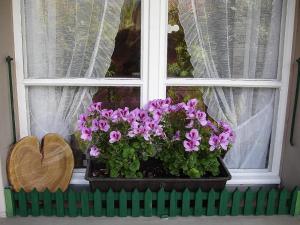 ein Fenster mit einem Blumentopf auf einem Fensterbrett in der Unterkunft Apartment Bärgfriede by Interhome in Oberwil