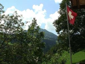ツヴァイジンメンにあるApartment Schnäggedanz- Chaletの山の旗