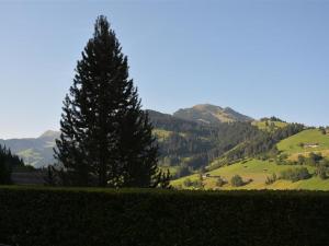 a pine tree on a hill with a green field at Apartment Eichhorn by Interhome in Zweisimmen
