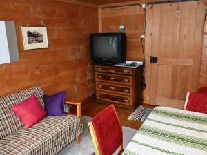 ein Wohnzimmer mit einem Sofa und einem TV in der Unterkunft Apartment Mittaghorn by Interhome in Gsteig