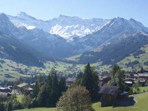 a village in a valley with snow capped mountains at Apartment Krebs by Interhome in Adelboden