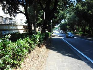 The surrounding neighborhood or a neighborhood close to Az apartmant