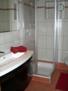 a bathroom with a shower and a sink and a toilet at Foidl Simon in Fieberbrunn