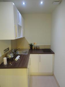 eine Küche mit einer Spüle und einer Arbeitsplatte in der Unterkunft Palmerston Suites in Edinburgh