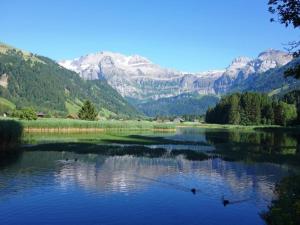 einen Blick auf einen See mit Bergen im Hintergrund in der Unterkunft Apartment Brandegg 4 by Interhome in Lenk im Simmental