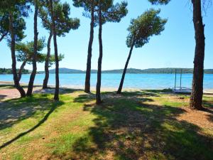 Příroda nedaleko apartmánu + 24 fotografií