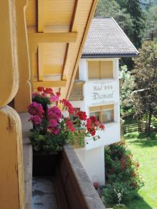Zahrada ubytování Chalet Hotel Diamant