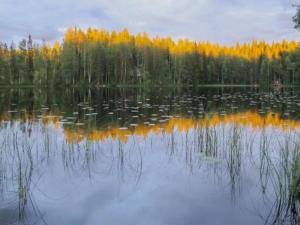 HolisevaにあるHoliday Home Aurinko by Interhomeの木々が茂る湖の景色