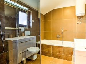 a bathroom with a toilet and a shower and a sink at Holiday Home Villa Willheim in Sveti Ivan Dobrinjski +13 photos