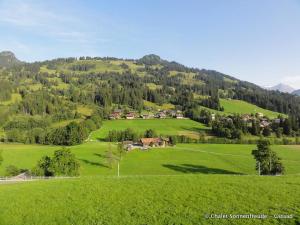 a green field with a village on a mountain at Apartment Sonnenfreude- Chalet by Interhome in Schönried