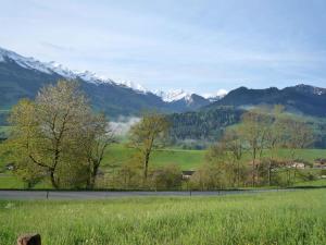 a field with trees and mountains in the background at Apartment Ferienhaus Niesen View by Interhome in Erlenbach im Simmental