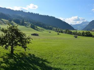a green field with a tree in the middle of it at Apartment Alpha by Interhome in Zweisimmen