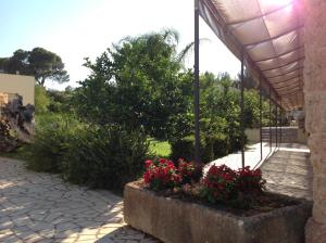 Zahrada ubytování Masseria La Porticella