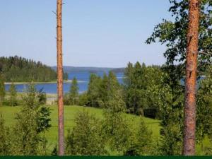 two tall trees in a field with a body of water at Holiday Home Ylähuone by Interhome in Pätiälä