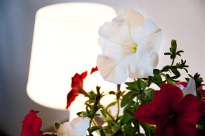 Φωτογραφία από το άλμπουμ του Zajazd Wrocławski σε Kąty Wrocławskie +16 φωτογραφίες