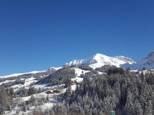 a snow covered mountain with trees and a snow covered mountain at Apartment Chalet Wäschhüsi by Interhome in Adelboden