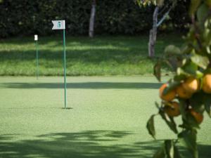 Golf pri vile alebo okolí