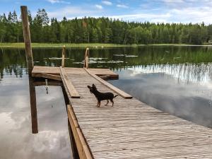 Ein schwarzer Hund, der auf einem Steg auf einem See läuft. in der Unterkunft Holiday Home Virransivu by Interhome in Kaipiainen