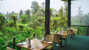 
A restaurant or other place to eat at Te Waonui Forest Retreat
