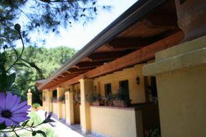 Zahrada ubytování Hotel Villa Rita