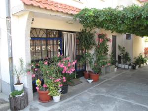Градина пред Guest House Rusalka