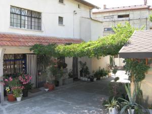 Градина пред Guest House Rusalka + 26 снимки