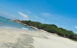 vista su una spiaggia con alberi in acqua di The Cove Hostel - Tong Fuk Sea Lion a Hong Kong