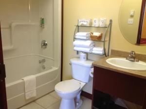 
a bathroom with a toilet, sink, and bathtub at Hotel Citadelle in Quebec City
