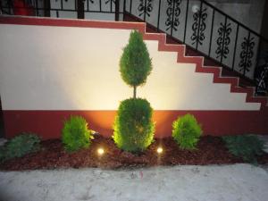 Fotografie z fotogalerie ubytování Felix Residence Costinesti v destinaci Costineşti