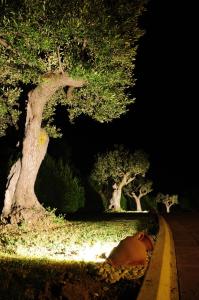 Foto dalla galleria di Il Casale a Treia Altre 12 foto