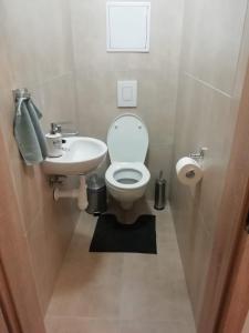 a small bathroom with a toilet and a sink at Apartman Lúčky-Rea in Belá