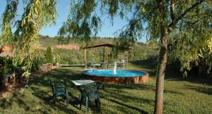 a pool in the middle of a yard with a tree at Casa Rural El Colorao in Sotés