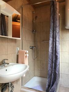 Koupelna v ubytování Apartman MAURO
