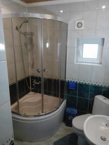 y baño con ducha, aseo y lavamanos. en На Беріжку, en Mykulychyn