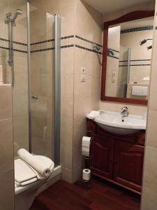 a bathroom with a shower and a sink at Chambres d'Hôtes Les Foulons in Douai +19 photos