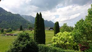 um grupo de árvores num campo com montanhas em Haus Schwalbennest em Inzell