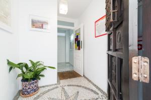 un pasillo con una puerta y una maceta en Apartamentos Bravo, en Granada