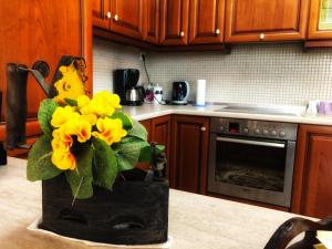 Cucina o angolo cottura di The Hillhouse near Alexandroupolis ,Daphnee Apartment