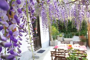 a garden covered in wisteria with tables and chairs at Villa dei Fiori in Luino