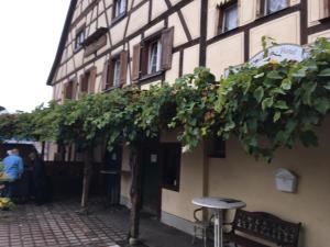 een gebouw met een boom voor een gebouw bij Gasthaus Sonne in Schliengen