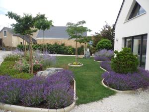 un giardino con piante viola e fiori viola di AU PARFUM DES LAVANDES a Précigné Altre 15 foto