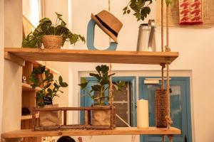 uma prateleira com plantas e uma vela sobre ela em Cantagua Hostel em Valência