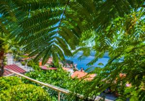 Fotografie z fotogalerie ubytování Apartments Gracia v destinaci Rabac