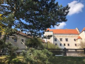 a large building with a tree in front of it at Privát U Čejků in Telč