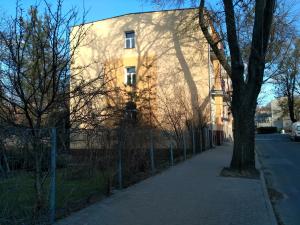 a building with a tree next to a sidewalk at Apartament UnoPuro w centrum in Chełm