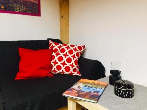 FERJOE'S HOME APARTMAN 1063 Budapest, Bajnok utca 15 1/3 kép - 2