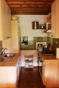 Kuchyň nebo kuchyňský kout v ubytování Ferienhaus Anderles-Alm
