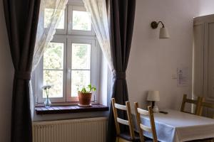 una mesa con sillas y una ventana con una planta en Apartamenty Madera en Katowice