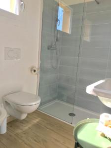 a bathroom with a shower and a toilet and a sink at Il Miraggio in Fregene